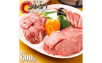 南国高知の土佐和牛焼肉セット 200g×3種 合計600g 焼肉 土佐和牛 牛肉 牛 肉 国産 和牛 上カルビ ロース モモ ヤキニク バーベキュー BBQセット 詰め合わせ 冷凍 配送 焼き肉