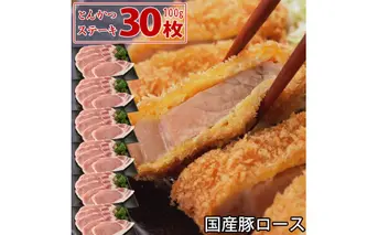 国産豚 ロース とんかつ・ステーキ用 3kg(100g30枚) 肉 豚肉 故郷納税 ぶた肉 トンカツ ステーキ とんてき トンテキ 送料無料 特産品 ギフト お中元 御中元 御歳暮 お歳暮 のし 熨斗
