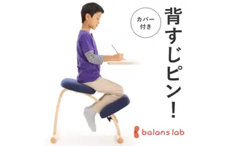 椅子 バランスイージー カバー付き ショートLグリーン+Lグリーン 姿勢矯正 インテリア 家具