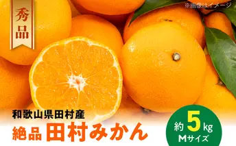 AB7127_【和歌山特産品】【プレミアムブランド】絶品！ 田村みかん 秀品 Mサイズ 約5kg