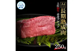 TKA228　天下味 エイジング工法 熟成肉 土佐和牛 特選 赤身ブロック 250g エイジングビーフ 国産 牛肉 土佐 和牛 冷凍配送 真空パック お祝い 高知 芸西村 贈り物 贈答 ギフト