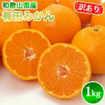 AN6112_有田みかん【訳あり】1kg SS～2Lサイズ混合 農家直送
