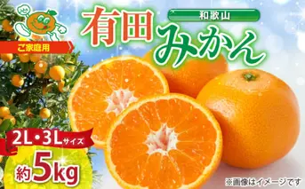 ZJ6084_【2025年先行予約】ご家庭用　和歌山有田みかん 約5kg (2L、3Lサイズいずれか)【湯浅町】