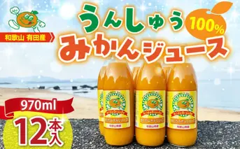 ZJ6061_和歌山有田産100% うんしゅうみかんジュース 970ml × 12本セット
