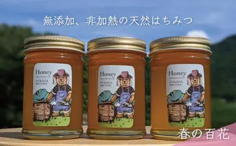 合計690g 天然蜂蜜 国産蜂蜜 非加熱 生はちみつ 岐阜県 美濃市産 春 (蜂蜜230g入りガラス瓶3本セット)A3 深田養蜂のハチミツ