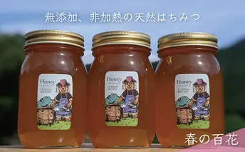 合計1800g 天然蜂蜜 国産蜂蜜 非加熱 生はちみつ 岐阜県 美濃市産 春 (蜂蜜600g入りガラス瓶3本セット)A7 深田養蜂のハチミツ