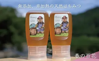 合計600g 天然蜂蜜 国産蜂蜜 非加熱 生はちみつ 岐阜県 美濃市産 春 (蜂蜜300g入りピタッとボトル2本セット)A10 深田養蜂のハチミツ