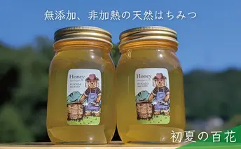 合計1200g 天然蜂蜜 国産蜂蜜 非加熱 生はちみつ 岐阜県 美濃市産 初夏 (蜂蜜600g入りガラス瓶2本セット)B6 深田養蜂のハチミツ