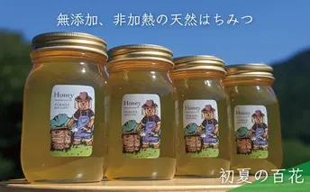 合計2400g 天然蜂蜜 国産蜂蜜 非加熱 生はちみつ 岐阜県 美濃市産 初夏 (蜂蜜600g入りガラス瓶4本)B8 深田養蜂のハチミツ
