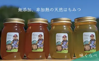 合計2400g 天然蜂蜜 国産蜂蜜 非加熱 生はちみつ 岐阜県 美濃市産 味比べ 蜂蜜600g入りガラス瓶 4本セットC4 深田養蜂のハチミツ
