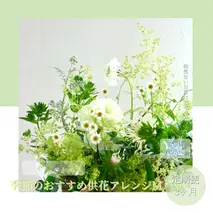t172tmf　《3ヵ月定期便》生花アレンジ お供え 供花M 定期便 定期コース 全3回 フラワーアレンジメント そのまま飾れる お供え 花束 生花 仏花 供花 花束 はな 花 法要 お盆 季節のお花 供花 お供え
