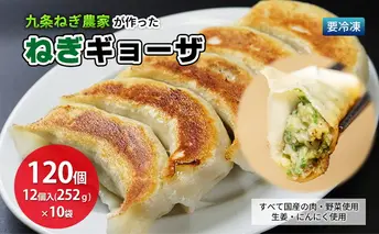 九条ねぎ農家が作ったねぎギョウザ（12個入×10袋） 〈 ぎょうざ 餃子 ギョーザ 九条ねぎ 京野菜 冷凍 冷凍餃子 惣菜 国産豚肉  おかず つまみ 夕飯 晩御飯 手軽 便利 〉 