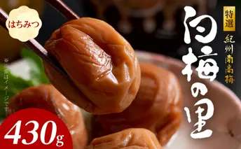 SF2011_特選紀州南高梅「白梅の里」はちみつ　430ｇ