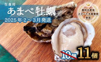 先行予約 あまべ牡蠣 11個 牡蠣 シングルシード 生食用 殻付き かき カキ オイスター 生ガキ 生牡蠣 生がき 生かき ギフト 貝 旨味  【2025年2-3月発送】