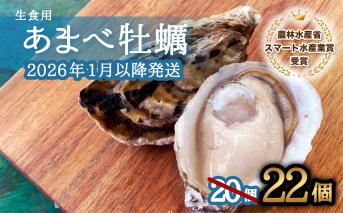 先行予約 あまべ牡蠣 22個 牡蠣 シングルシード 生食用 殻付き かき カキ オイスター 生ガキ 生牡蠣 生がき 生かき ギフト 貝 旨味【2026年1月7日～発送】