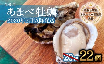 先行予約 あまべ牡蠣 22個 牡蠣 シングルシード 生食用 殻付き かき カキ オイスター 生ガキ 生牡蠣 生がき 生かき ギフト 貝 旨味【2026年1月7日～発送】