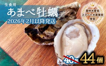 先行予約 あまべ牡蠣 44個 牡蠣 シングルシード 生食用 殻付き かき カキ オイスター 生ガキ 生牡蠣 生がき 生かき ギフト 貝 旨味【2026年1月7日～発送】