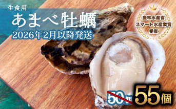 先行予約 あまべ牡蠣 55個 牡蠣 シングルシード 生食用 殻付き かき カキ オイスター 生ガキ 生牡蠣 生がき 生かき ギフト 貝 旨味【2026年1月7日～発送】