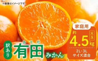 DZ6218_ご家庭用 有田みかん 和歌山 大玉(2L,3Lサイズ混合) 約4.5kg