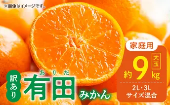 DZ6217_ご家庭用　有田みかん 大玉(2L,3Lサイズ混合) 約9kg