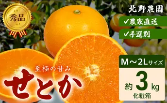 DZ6206_秀品　せとか 和歌山　有田 化粧箱 M～2Lサイズ 大きさお任せ 3kg