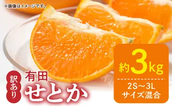 DZ6208_【2026年先行予約】訳あり せとか 和歌山 有田 2S～3Lサイズ混合 約3kg