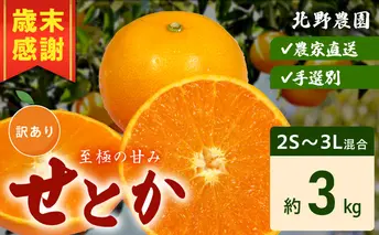 DZ6208_【2026年先行予約】訳あり せとか 和歌山 有田 2S～3Lサイズ混合 約3kg