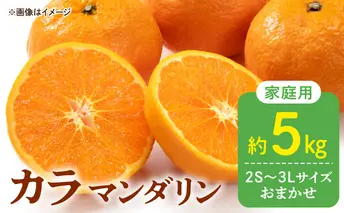 DZ6221_【2026年先行予約】訳あり 家庭用 カラマンダリン なつみ 和歌山 有田  2S～3Lサイズ混合 5kg