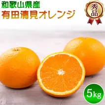DZ6031n_【2026年先行予約】有田 清見 オレンジ 秀品 S～2Lサイズ 大きさお任せ 約5kg