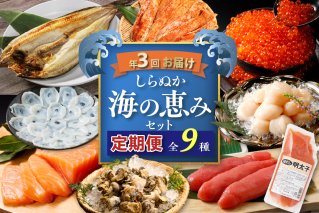 しらぬか海の恵みセット'24-'25【年3回定期便】_I050-1238