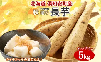北海道 倶知安町産 長芋 2L×約6本 計5kg 秋堀り 芋 ながいも とろろ 新鮮 フレッシュ 野菜 農作物 産直 山芋 麦とろ 山かけ おつまみ グリーンアースファーム 送料無料 北海道 倶知安町 新鮮野菜