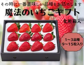 【12月上旬から順次出荷】魔法のいちごギフト化粧箱入り 果物 フルーツ デザート かおり野 かんな姫 おいCベリー よつぼし 紅ほっぺ　ほしうらら　スターナイト
