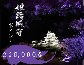 姫路城守ポイント（260,000石） 