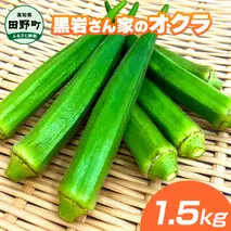 黒岩さん家のオクラ 1.5kg 1.5キロ オクラ 国産 おくら 国産オクラ 新鮮野菜 美味しい 野菜 厳選 新鮮 おかず 常温 配送 副菜 惣菜 煮物 朝どれ 詰め合わせ 取り寄せ グルメ お取り寄せグルメ お取り寄せ サラダ ふるさとのうぜい 返礼品 高知県 高知 6000円