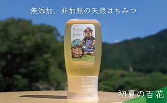 合計300g 天然蜂蜜 国産蜂蜜 非加熱 生はちみつ 岐阜県 美濃市産 初夏 (蜂蜜300g入りピタッとボトル1本)B9 深田養蜂のハチミツ