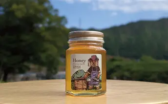 90g 天然蜂蜜 国産蜂蜜 非加熱 生はちみつ 岐阜県 美濃市産 (配送エリア限定) D1  深田養蜂のハチミツ