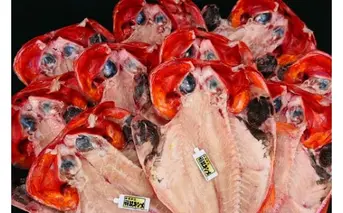 稲取キンメ　干物　詰め合わせ　F008／寿し魚八　手作り　金目鯛　アジ　サバ　イカ　静岡県　東伊豆町