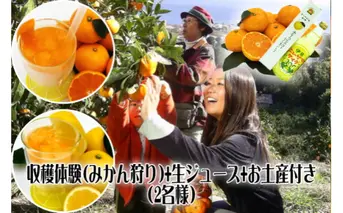 みかん狩り　収穫体験　搾りたて　生ジュース　お土産付　2名様　B018／収穫体験農園ふたつぼり　静岡県　東伊豆町