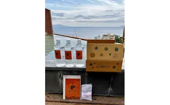 温泉　WAKUWAKU　熱川温泉　熱川プリンス　源泉　２L×３　タオル　パンフレット　1064