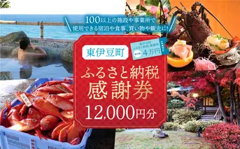東伊豆町 ふるさと納税 感謝券 12000円 1069 ／ 静岡県 旅行 宿泊 食事 観光 チケット クーポン 補助 リフォーム ホテル 動物園 海鮮 みかん 金目鯛 稲取 熱川 ギフト 土産