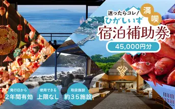 迷ったらコレ！　ひがしいず　満喫　宿泊　補助券　（4万5千円分）F001／静岡県　東伊豆町