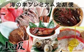 伊豆半島　海の幸　プレミアム　定期便　10回　H003／山田屋海産　海老　鯛　海鮮　静岡県　東伊豆町