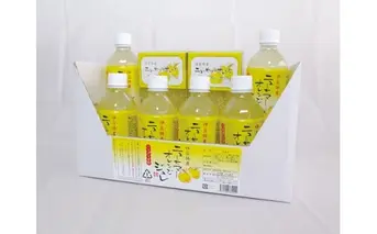 ニューサマーオレンジ　ジュレ　ゼリーdeシャーベット(小)　A016／甘味しるこや悠遊庵　ゼリー　ジュース　静岡県　東伊豆町