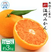 西込さん家の温州みかん 約3kg・サイズおまかせ(2S～2L) ワケあり品(外皮にシミ・傷あり) 3キロ 柑橘 蜜柑 果物 フルーツ 訳あり 家庭用 自宅用 常温 数量限定 配送可能時期12月末まで