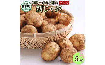 ★先行受付：2025年5月発送開始★大野台地で採れた 令和7年産新じゃがいも『デジマ』5kg 5キロ イモ ジャガイモ 芋 いも ポテト 野菜 おいしい ふっくら 旬 国産 お取り寄せ 送料無料