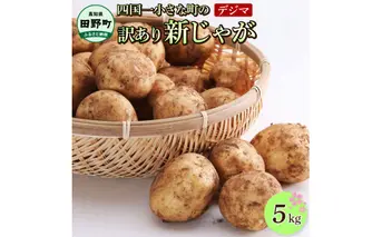 ★先行受付：2025年5月発送開始★大野台地で採れた 令和7年産新じゃがいも『デジマ』5kg 訳あり品 5キロ イモ ジャガイモ 芋 いも ポテト 野菜 おいしい 旬 国産 お取り寄せ 送料無料