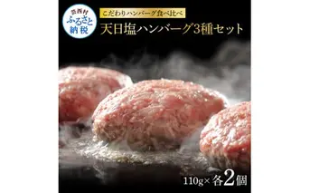 CDM015　 食べ比べ！天日塩ハンバーグ3種セット各2個(110g×3種) 合計6個 ハンバーグ 黒毛和牛 美鮮豚 天然塩 天日塩 デミグラスソース 和風ソース ソース付き 牛肉 豚肉 温めるだけ 冷凍 配送 国産 故郷納税 
