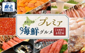 【定期便】オホーツクプレミア海鮮グルメ 全12回  ABAO2205