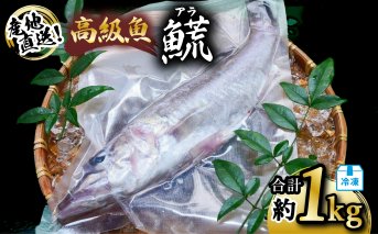 アラ 約1kg 産地直送 冷凍 下処理済 あら 高級魚 水揚げ時重量約1kg 下処理後約900g