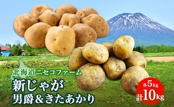 北海道産 越冬 じゃがいも 2種 詰め合わせ 男爵 きたあかり 各5kg 計10kg M-L サイズ混合 芋 ジャガイモ いも 野菜 お取り寄せ キタアカリ ニセコファーム 送料無料 北海道 倶知安町 北海道のジャガイモ 食品 